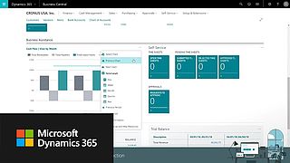 Wie funktioniert Microsoft Dynamics 365 Business Central?